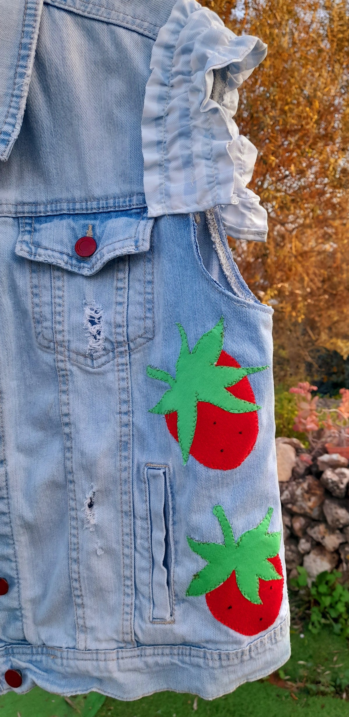 Colete Strawberry Picnic