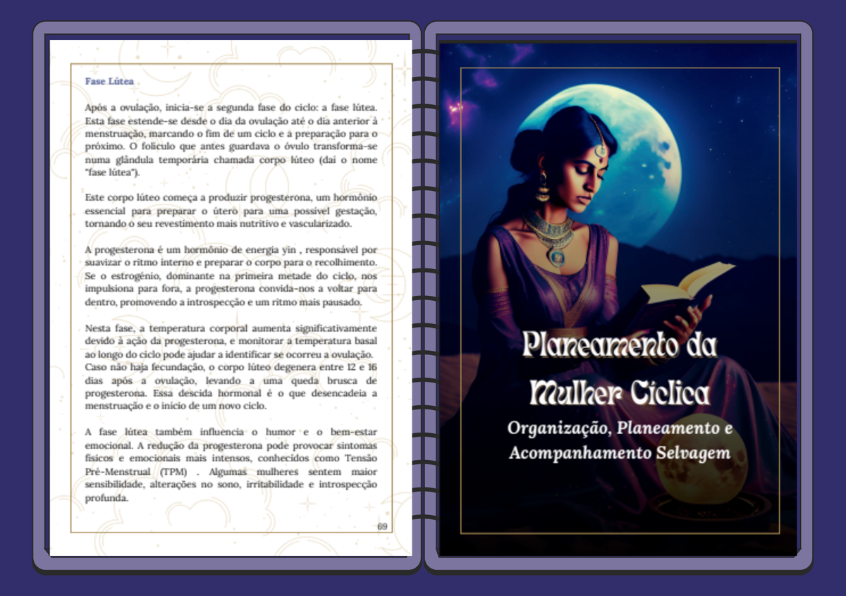 LUMINA 2026 — Agenda • Planner • Diário Cíclico • Livro Saberes Femininos (Download Digital)